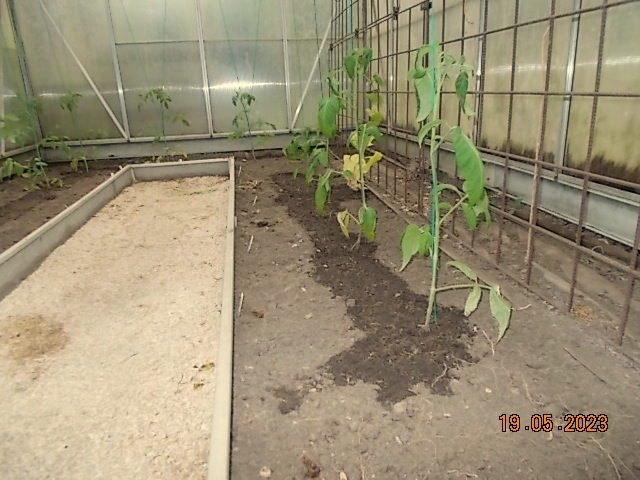 DSCN1478.JPG
