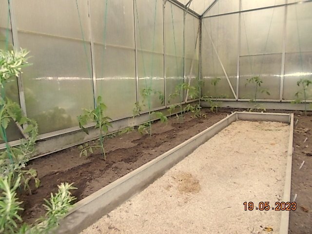 DSCN1479.JPG