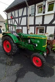 Mein Helfer beim Holz machen.