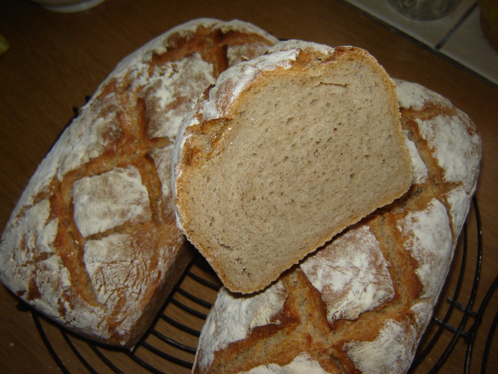 krume02.jpg
