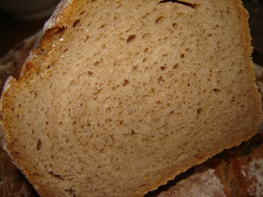 krume01.jpg