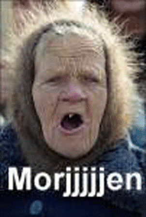 Morjjjjen.gif