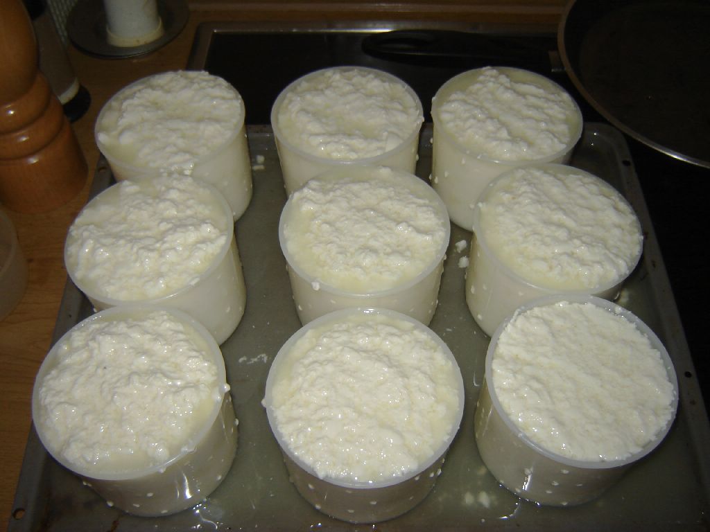 käse06.jpg