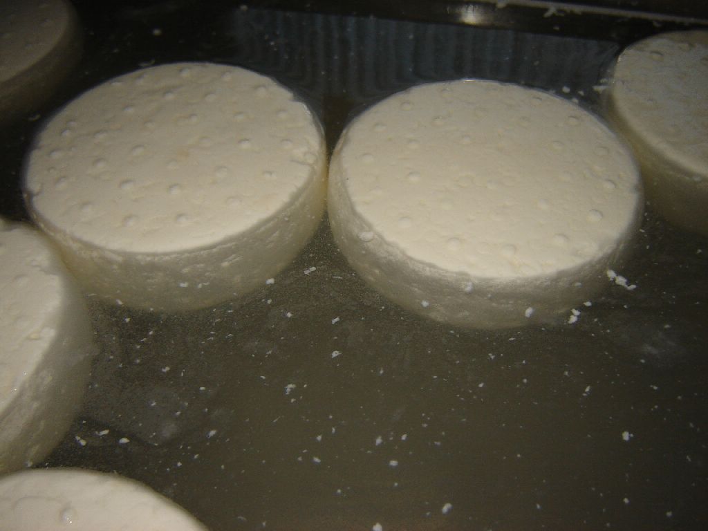 käse11.jpg