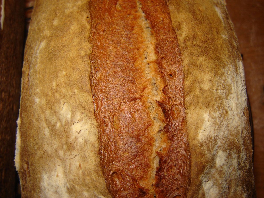 brot03.jpg
