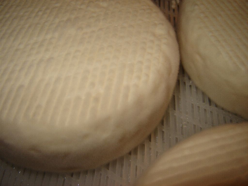 käse20.jpg