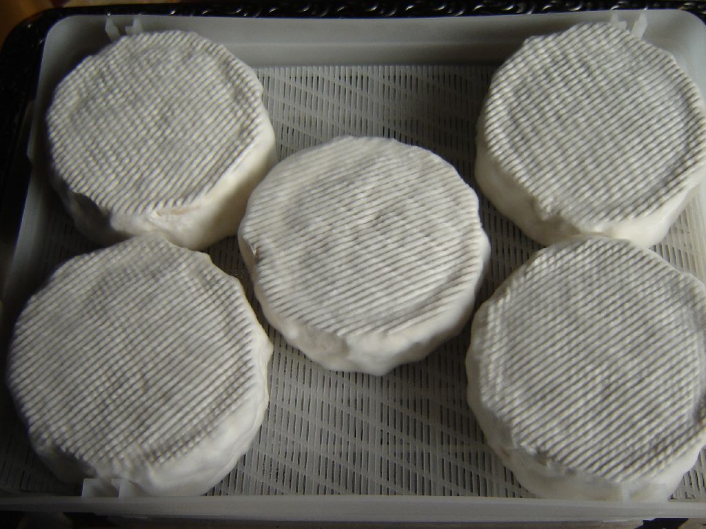 käse26.jpg