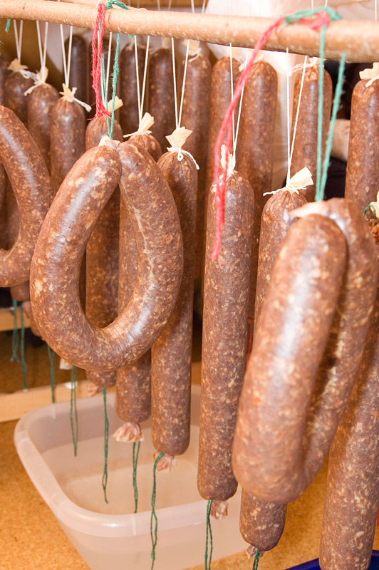 die werden ab jetzt täglich von mir kontrolliert