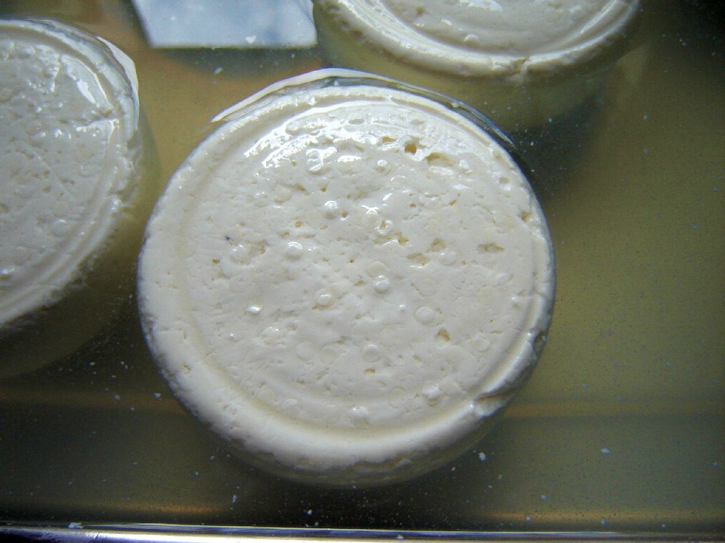 Munsterkäse20.jpg