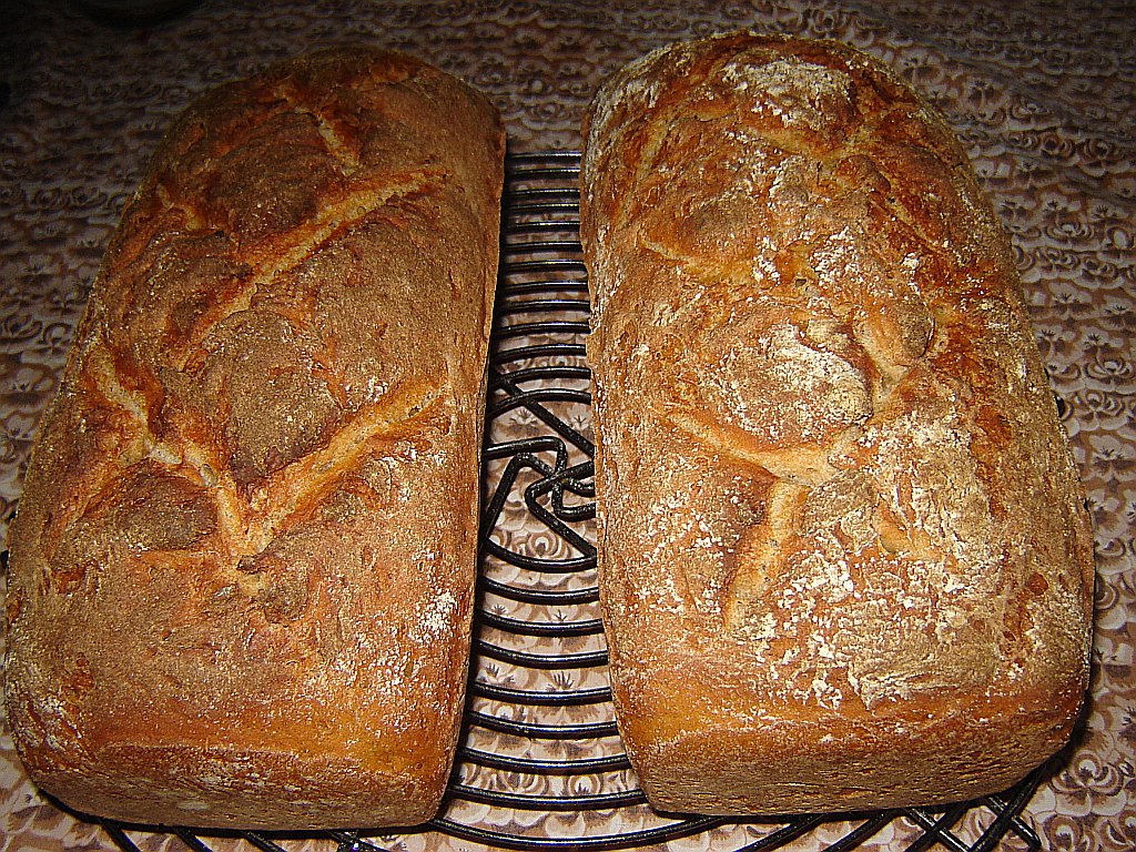 brot01.jpg