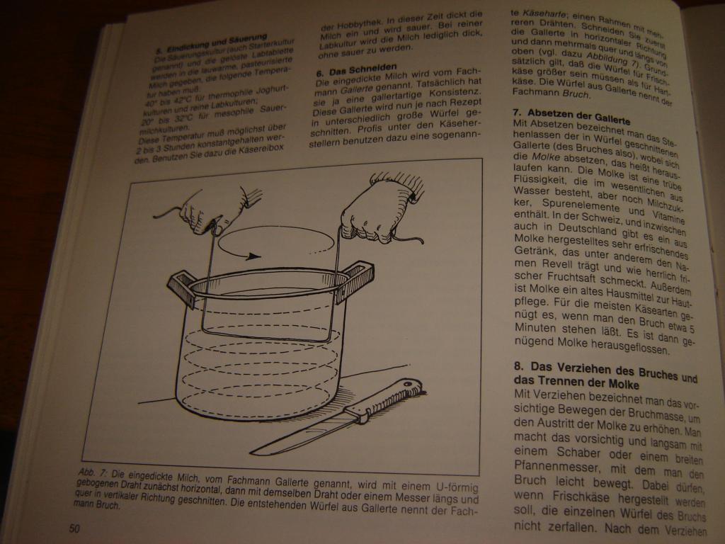 käse04.jpg