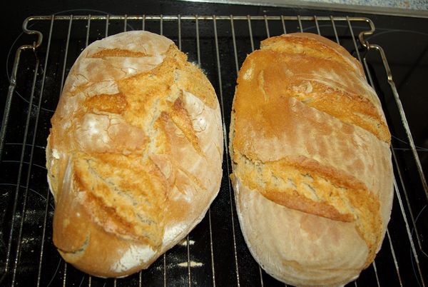 brot.jpg