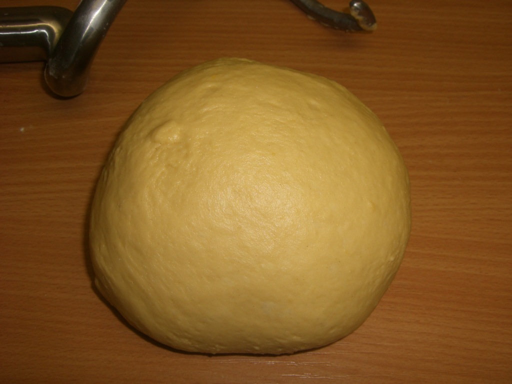 ns 337.jpg