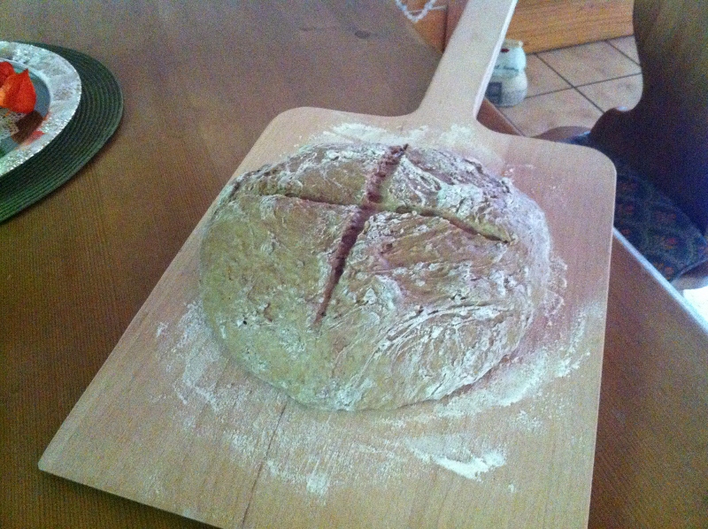 IMG_0234 (800x598).jpg