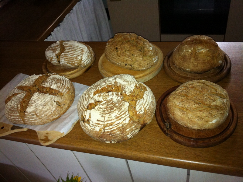 IMG_0245 (800x598).jpg