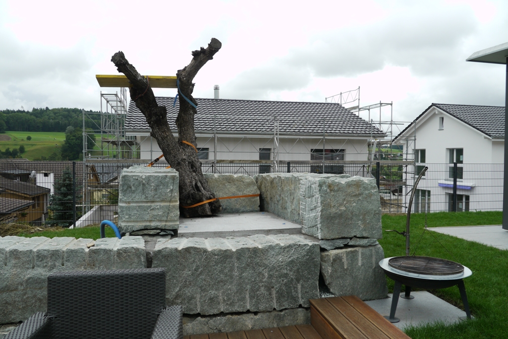 Fertiges Fundament mit leichtem Gefälle nach hinten zum Abfluss.<br />Der Olivenbau steht wieder an seinem ursprünglichem Standort.<br />Bis er in der Miezen Oase seine endgültige  Bestimmung finden wird.