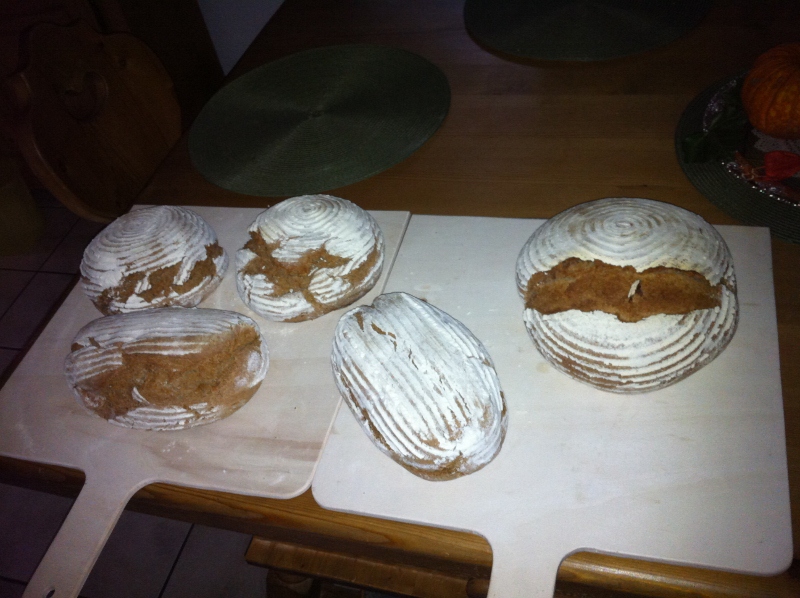 IMG_0277 (800x598).jpg