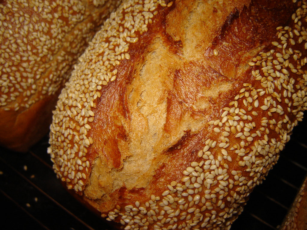Sesamkruste03.jpg
