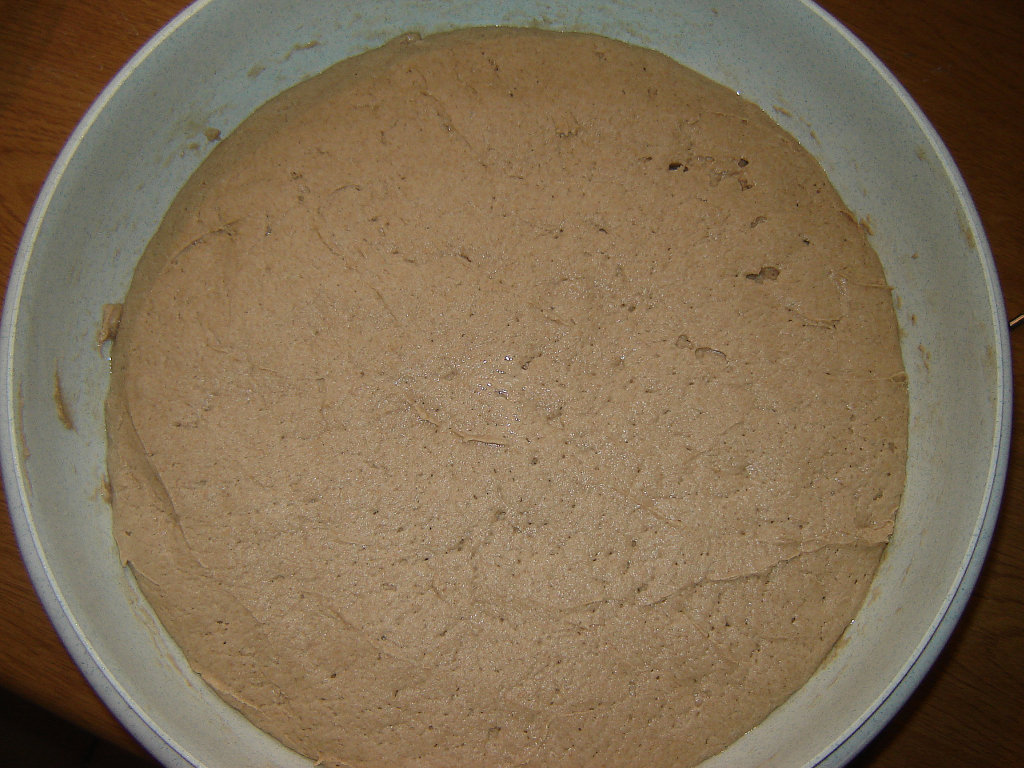 Sauerteigansatz07.jpg