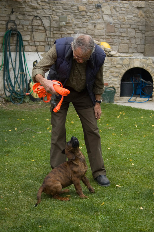 290912009Wolf-Rüdiger-Dönitz-mit-Welpen-und-Biotane-Schweißriemen.jpg