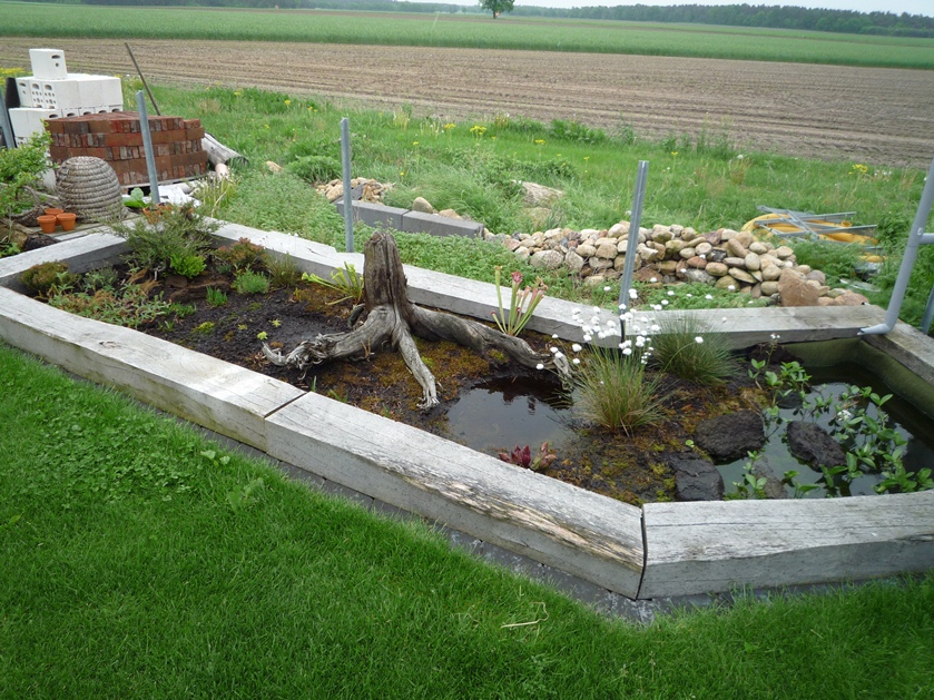 Und hier noch einmal die Gesamtansicht