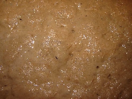 Sauerteig